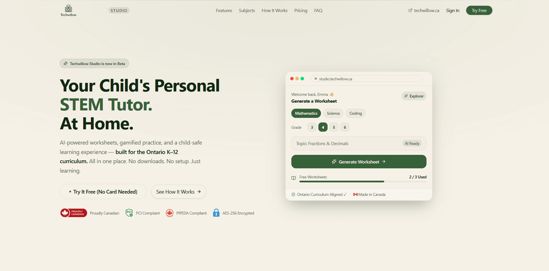 Techwillow Studio website homepage
