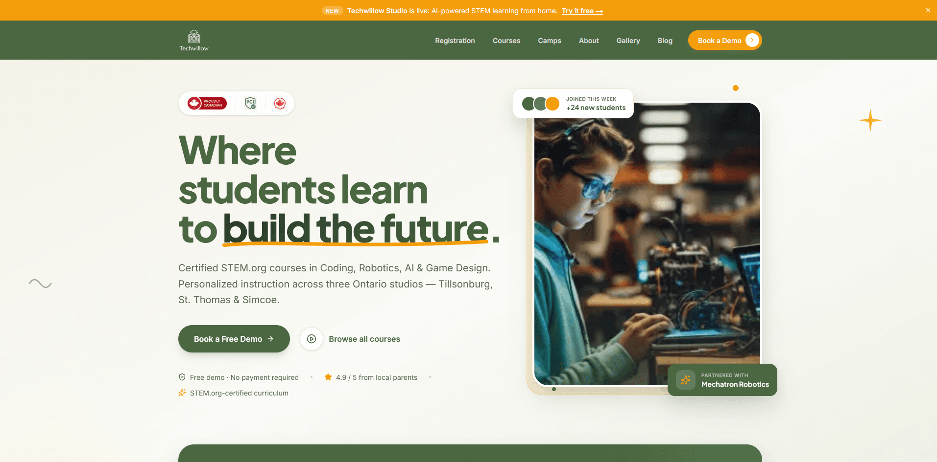Techwillow.ca website homepage